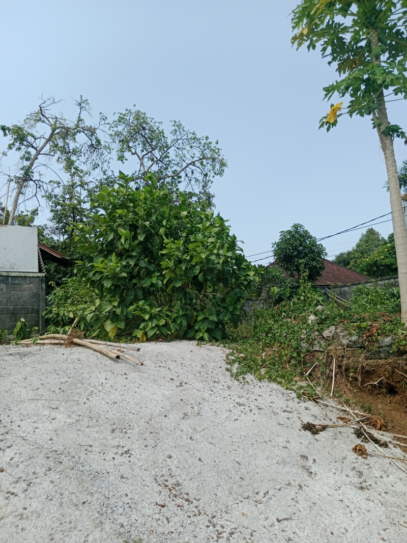 [LEASE] Tanah 1,7 Are, Sading, Mengwi